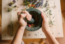 免费解压视频素材网站推荐之捷亚素材网-紫媛素材网